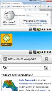 LinkPush 1.1. Скриншот 1