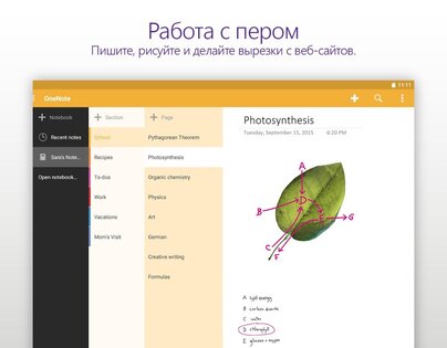 OneNote 16.0.20026.20090. Скриншот 9