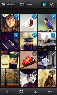 UGallery 4.0.1.081601. Скриншот 2