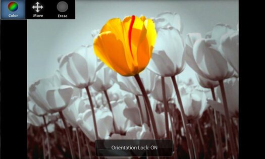 ColorUp 2.2.0. Скриншот 3