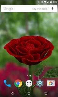 Живые обои Роза 3D 7.0. Скриншот 3