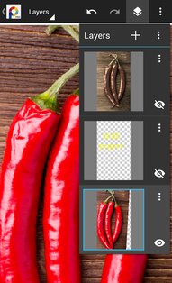 PhotoSuite 4.3.688. Скриншот 3