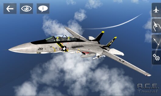 A.C.E Tomcat 1.0. Скриншот 9
