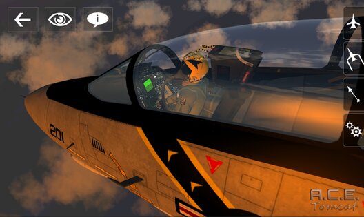 A.C.E Tomcat 1.0. Скриншот 18