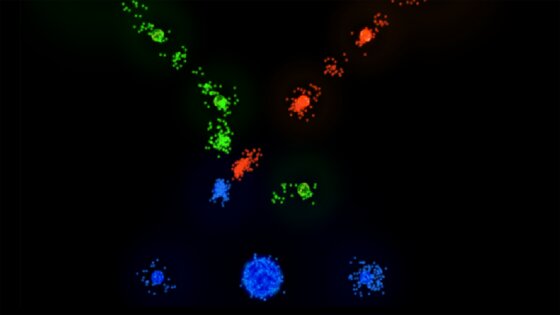 Auralux 1.85. Скриншот 16