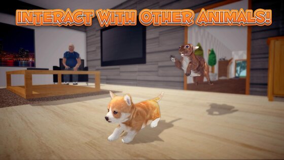 Bunny Simulator 1.0.2. Скриншот 3