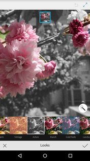 Adobe Photoshop Mix 2.6.3. Скриншот 5