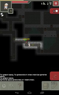 Remixed Dungeon 32.3.fix.4. Скриншот 16