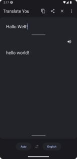 Translate You 19.0. Скриншот 2