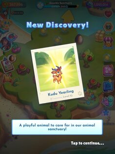 Paradise Paws 1.0.29. Скриншот 21