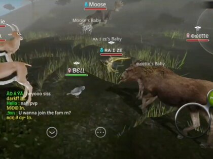 Wild Animals Online 9.3.0. Скриншот 13