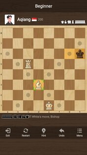 Шахматы Chess: Шахматы онлайн 3.637. Скриншот 14