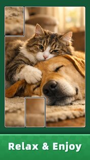 Jigsaw Puzzle Art 1.1.11. Скриншот 15