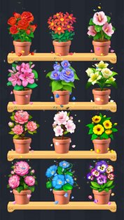 Blossom Sort 1.0. Скриншот 3