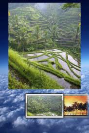 Nature Wallpaper Puzzle 1.0. Скриншот 1