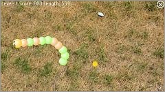 Snake Touch. Скриншот 1