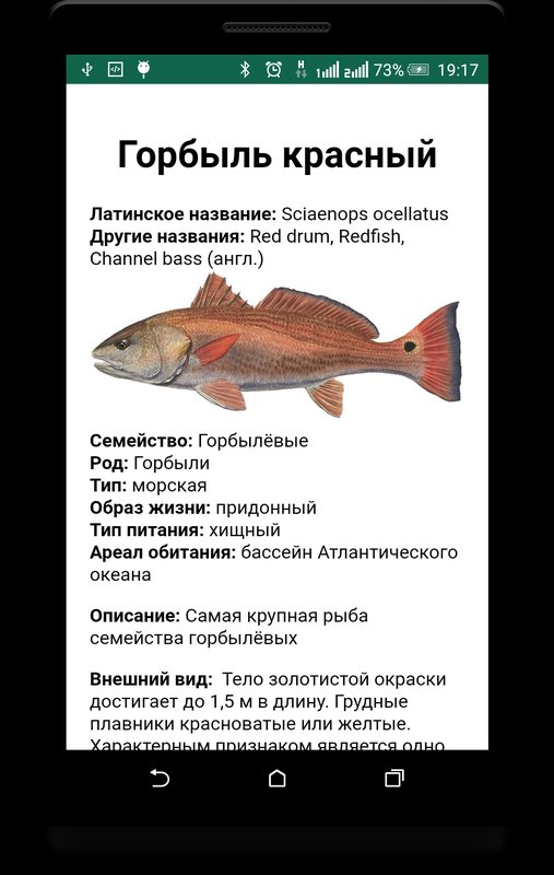 Клёвая рыбалка 1.104. Скриншот 5