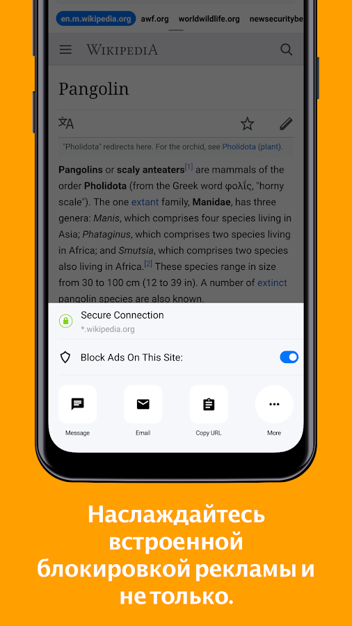 Cake Browser 6.0.27. Скриншот 5