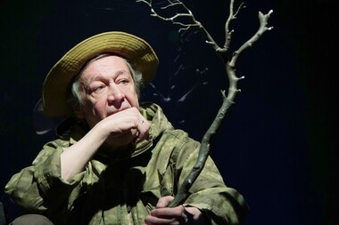 Михаил Ефремов