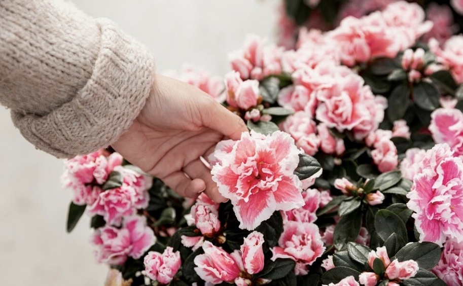 freepik / ru.freepik.com