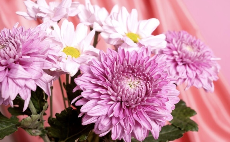 freepik / ru.freepik.com