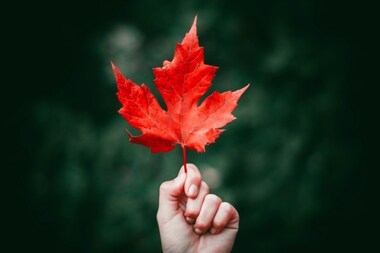 Nong / unsplash.com