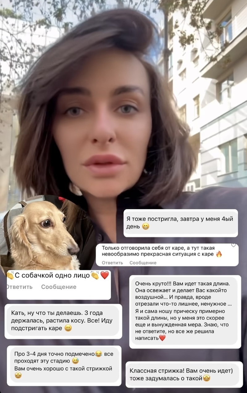 "С собачкой одно лицо"