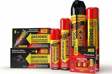 Как спастись от насекомых летом на даче?