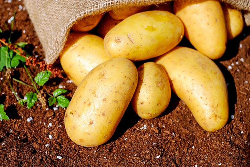 Мойте продукты перед употреблением