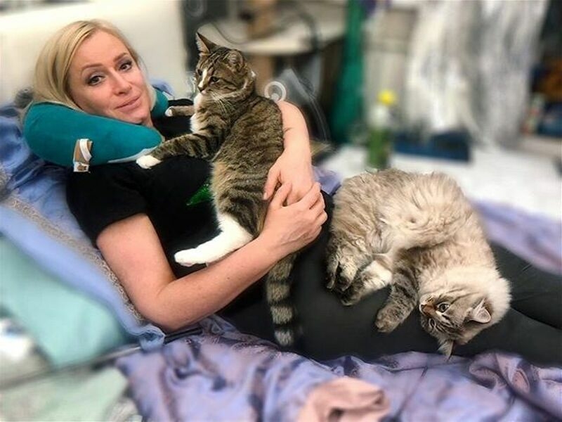У певицы дома живет 8 кошек
