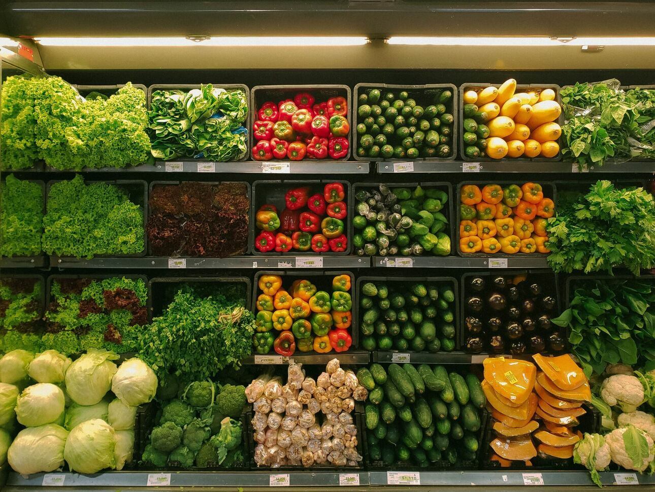 идеальный вариант хранения продуктов