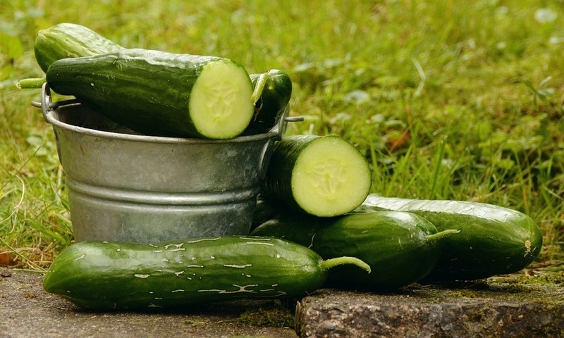 В огурцах 96% воды
