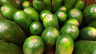 Кабачки: просто, вкусно, полезно