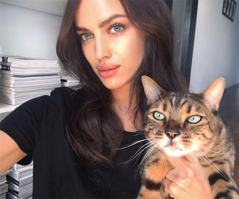 Ирина Шейк