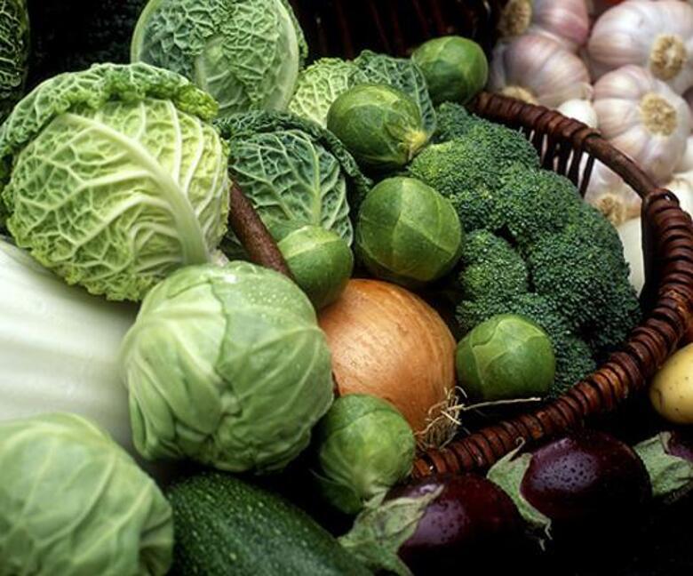 Какие продукты защищают печень? Фото: Fotolia/PhotoXPress.ru.