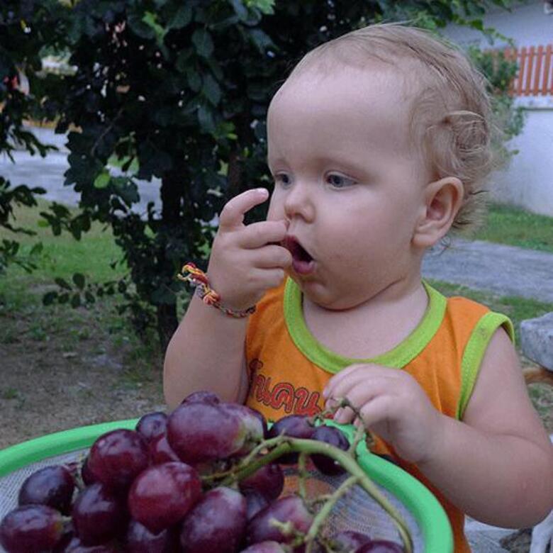Для Стефана, который родился в Таиланде, все фрукты – не заморская экзотика, а что-то родное и привычное.
