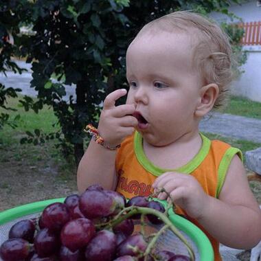 Для Стефана, который родился в Таиланде, все фрукты – не заморская экзотика, а что-то родное и привычное. 
