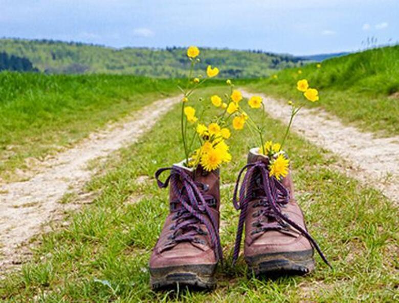 Чем теплее солнце, тем чуднее мысли и поступки окружающих. Фото: Fotolia/PhotoXPress.ru.