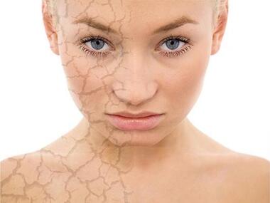 Фото: Fotolia/PhotoXPress.ru.