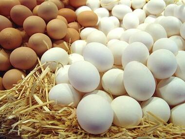 Натуральные продукты могут нанести вред здоровью. Фото: Fotolia/PhotoXPress.ru.