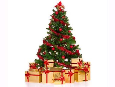 Фото: Fotolia/PhotoXPress.ru.