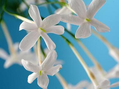 Фото: Fotolia/PhotoXPress.ru.