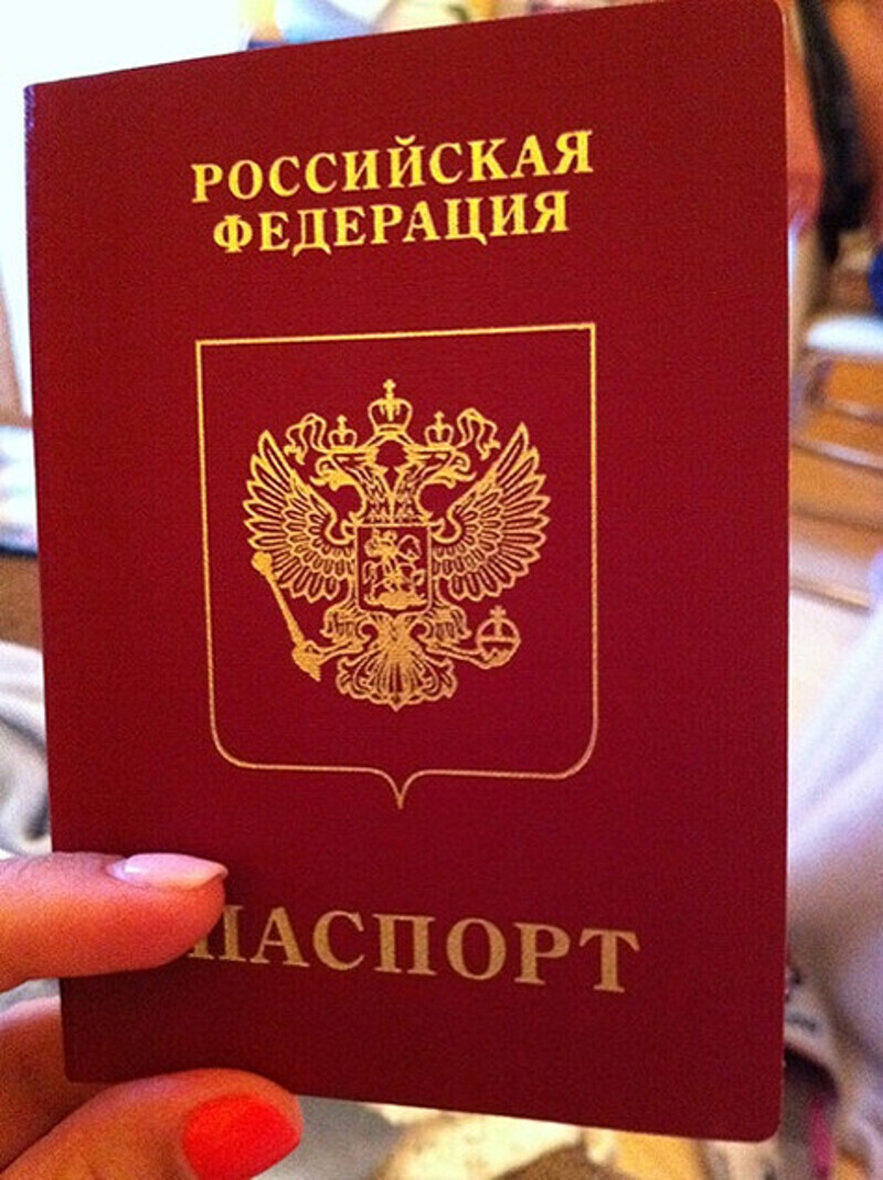 Загранпаспорт сына Анфисы Чеховой. Фото: Twitter.com.
