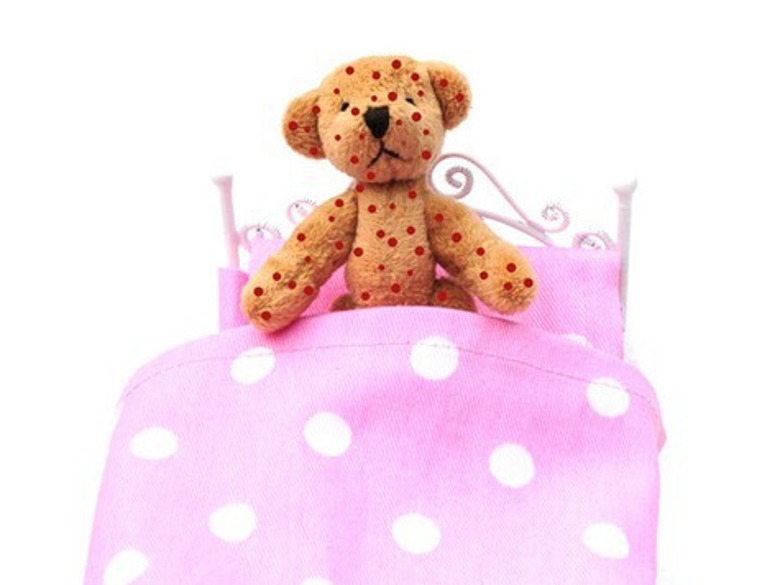 Фото: Fotolia/PhotoXPress.ru
