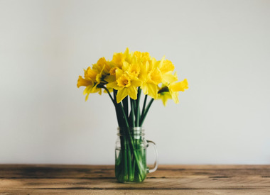 Движение в сторону весны: как подготовиться к весеннему равноденствию и зачем