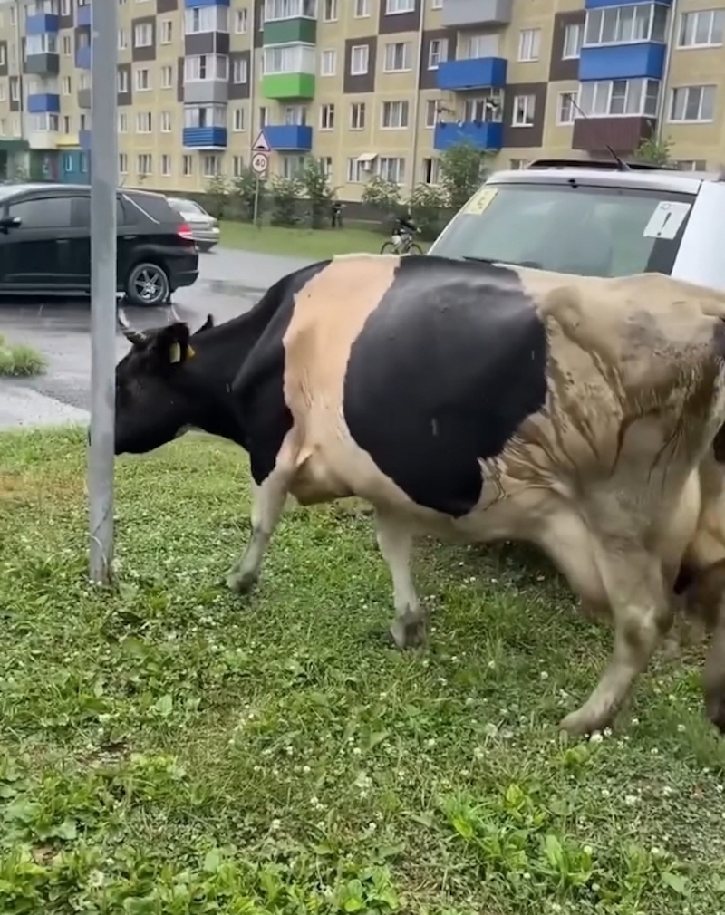 Архип и Мелисса Глушко прогулялись по Мыскам