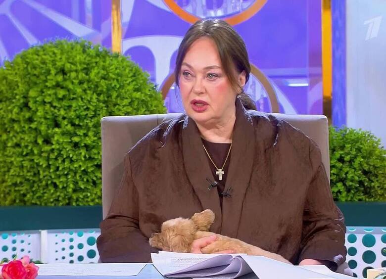 «Какая-то нелюдь»: Лариса Гузеева спасла выброшенную на улицу собаку и призвала людей не быть одинокими