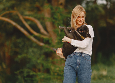 Потерялся питомец: что делать в первые часы и как организовать поиск