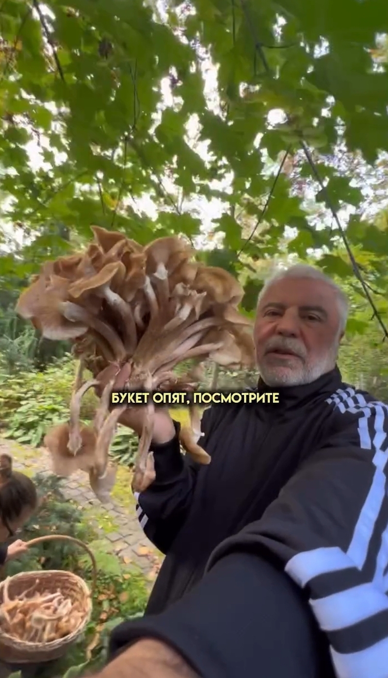 Сосо Павлиашвили